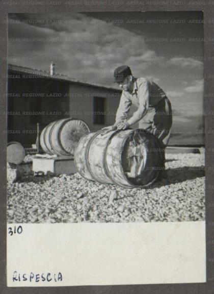 ARSIAL/ARS001746AB.jpg