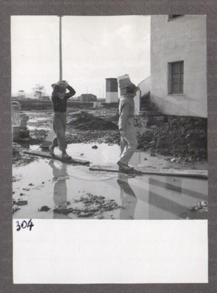 ARSIAL/ARS001746B5.jpg