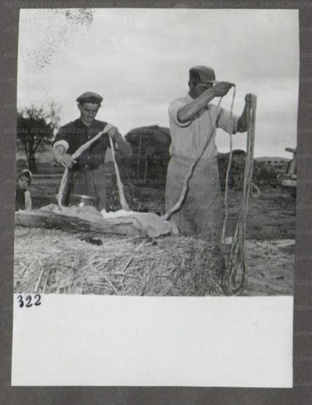 ARSIAL/ARS001746D5.jpg