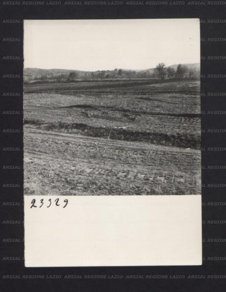 ARSIAL/ARS001746DD.jpg