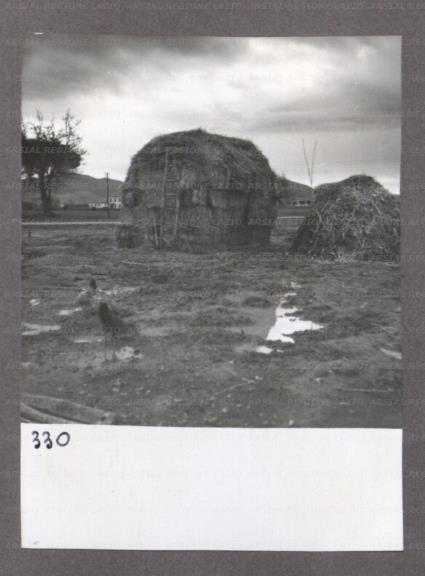 ARSIAL/ARS001746EA.jpg