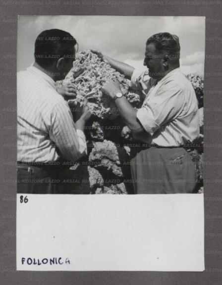 ARSIAL/ARS001746EB.jpg