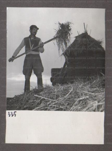 ARSIAL/ARS001746F5.jpg