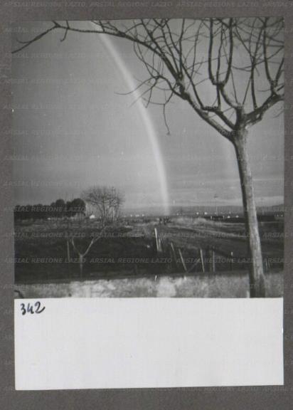 ARSIAL/ARS001746F6.jpg