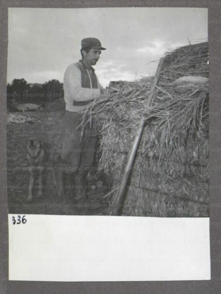 ARSIAL/ARS001746FC.jpg