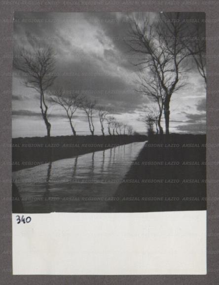 ARSIAL/ARS00174700.jpg