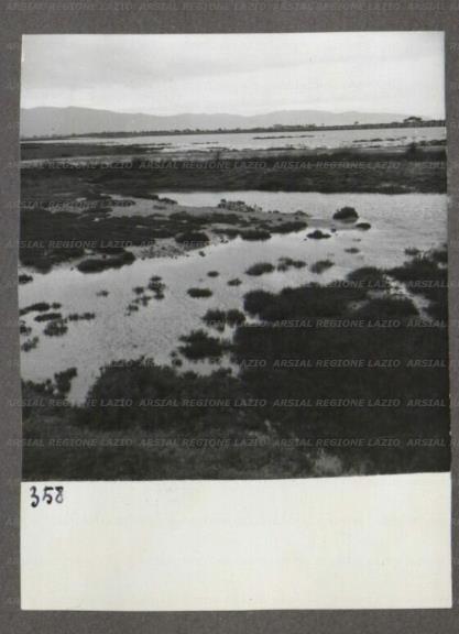 ARSIAL/ARS00174710.jpg