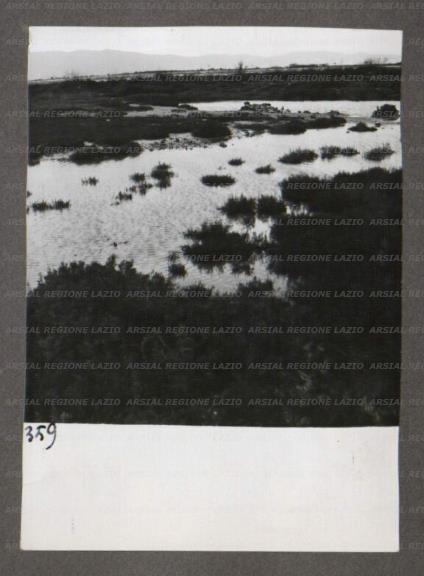 ARSIAL/ARS00174711.jpg
