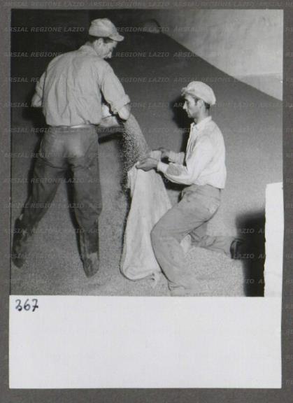 ARSIAL/ARS00174713.jpg