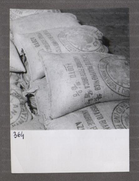 ARSIAL/ARS0017471D.jpg