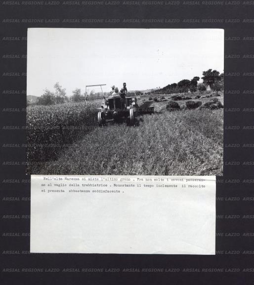 ARSIAL/ARS00174734.jpg