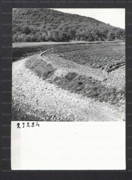 ARSIAL/ARS0017474E.jpg