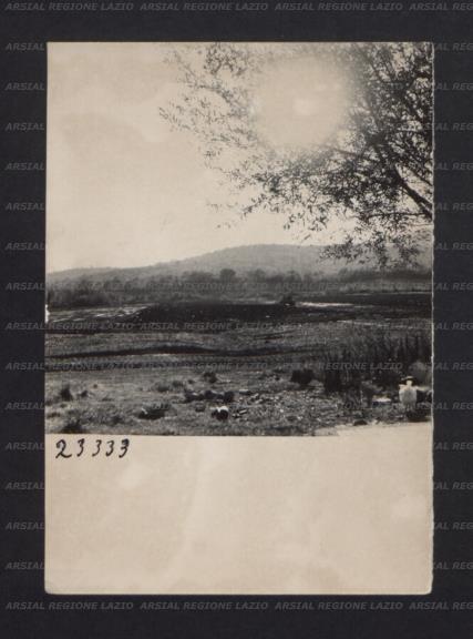 ARSIAL/ARS00174752.jpg