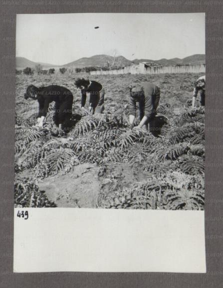 ARSIAL/ARS0017478E.jpg
