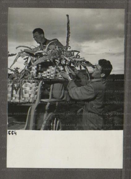 ARSIAL/ARS001747B8.jpg