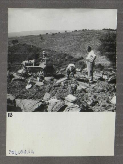 ARSIAL/ARS001747DD.jpg