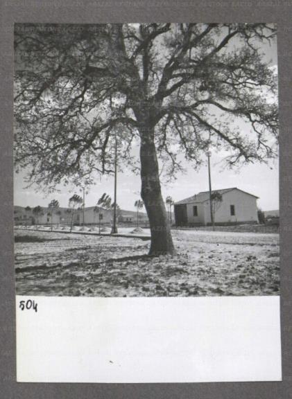 ARSIAL/ARS001747F8.jpg