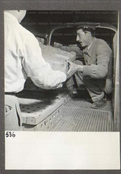 ARSIAL/ARS0017482A.jpg