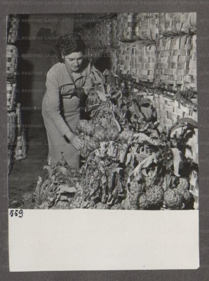 ARSIAL/ARS00174831.jpg