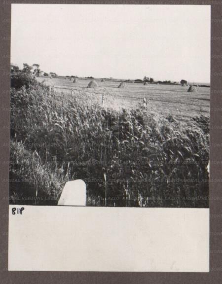 ARSIAL/ARS0017487A.jpg
