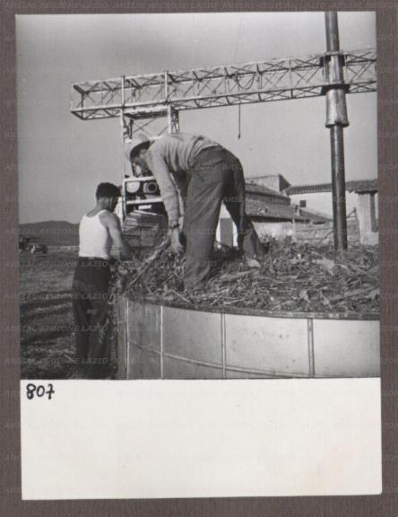 ARSIAL/ARS00174892.jpg