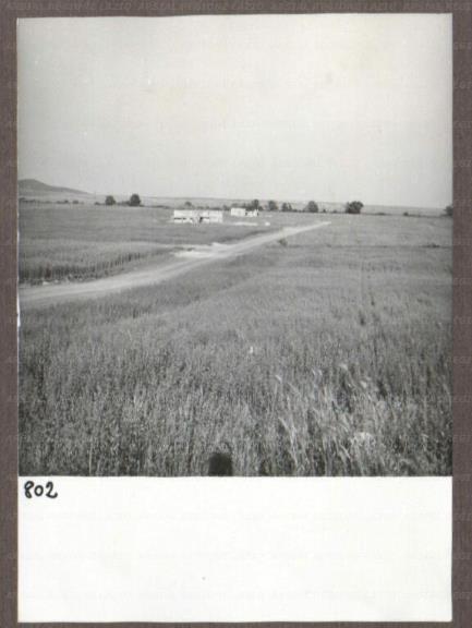 ARSIAL/ARS001748A1.jpg