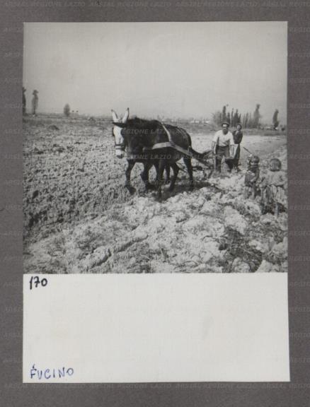 ARSIAL/ARS001748D9.jpg