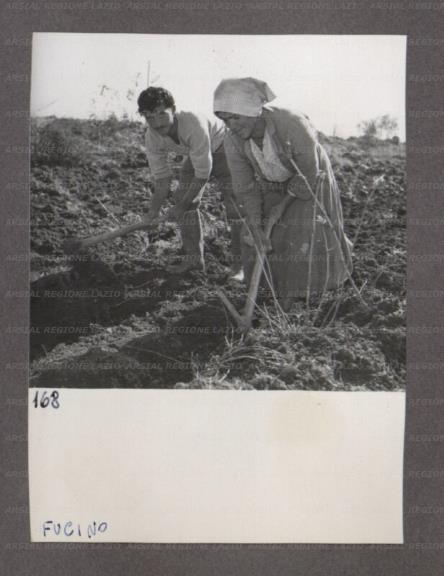 ARSIAL/ARS001748E7.jpg
