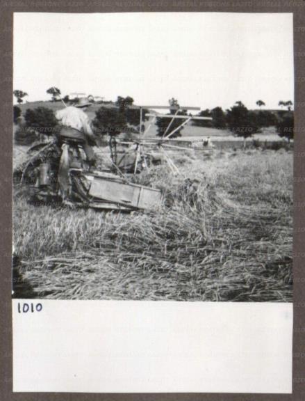 ARSIAL/ARS0017490D.jpg