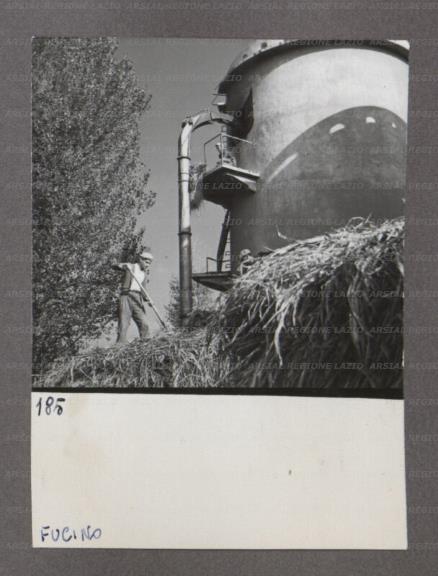 ARSIAL/ARS00174937.jpg