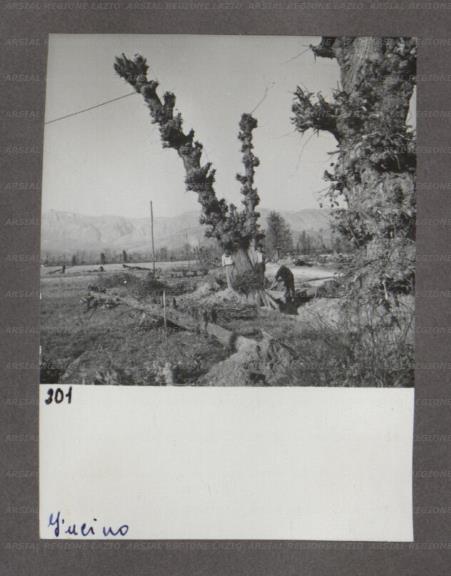 ARSIAL/ARS00174948.jpg