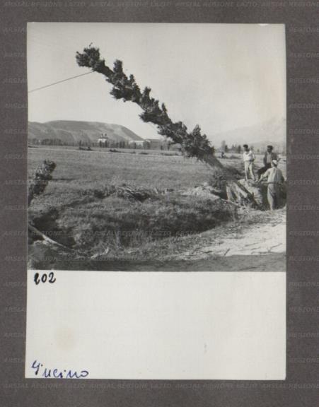 ARSIAL/ARS00174949.jpg