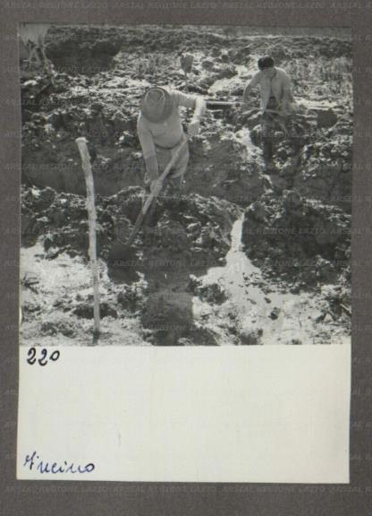 ARSIAL/ARS0017494F.jpg