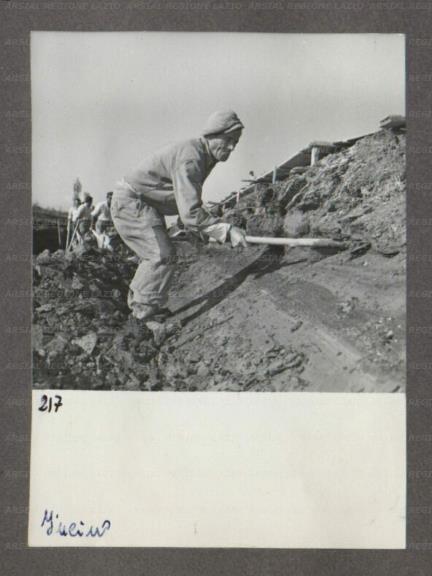 ARSIAL/ARS0017495D.jpg