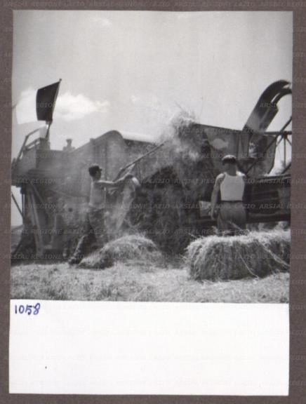 ARSIAL/ARS0017496E.jpg