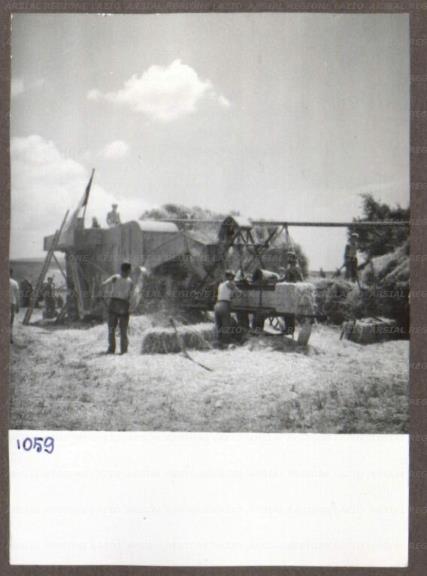ARSIAL/ARS00174970.jpg