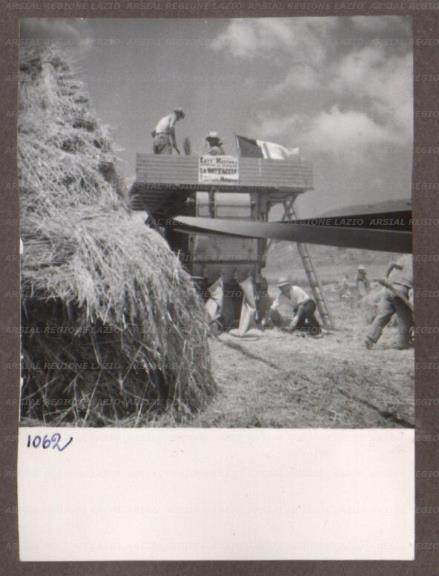 ARSIAL/ARS00174973.jpg