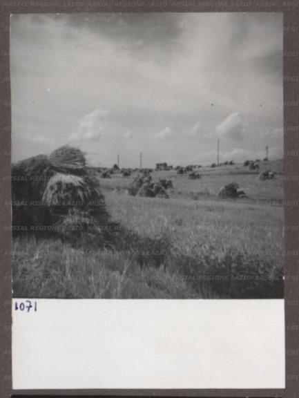 ARSIAL/ARS00174975.jpg