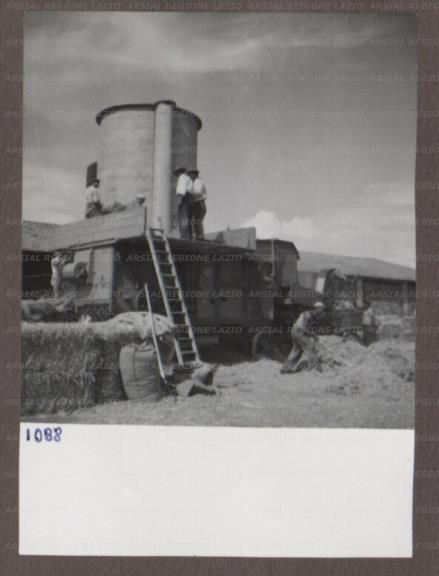 ARSIAL/ARS00174984.jpg