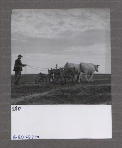 ARSIAL/ARS00174A05.jpg