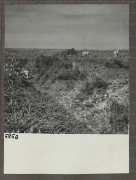 ARSIAL/ARS00174A25.jpg