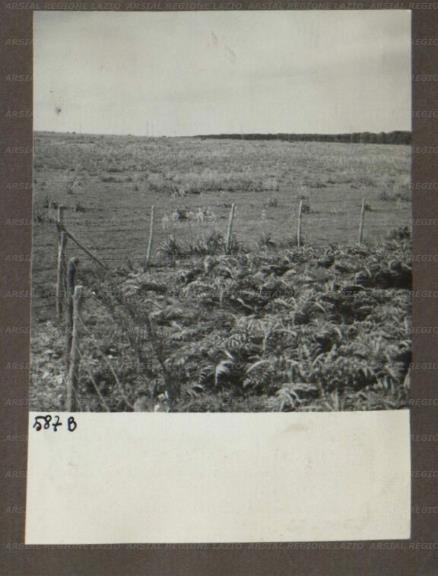 ARSIAL/ARS00174A28.jpg