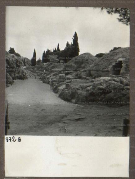 ARSIAL/ARS00174A2A.jpg