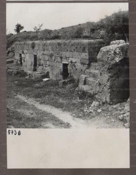 ARSIAL/ARS00174A2B.jpg