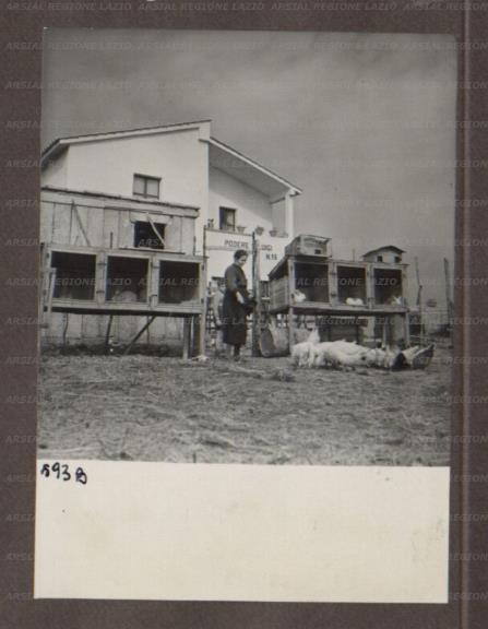 ARSIAL/ARS00174A36.jpg