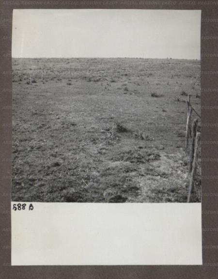 ARSIAL/ARS00174A3C.jpg