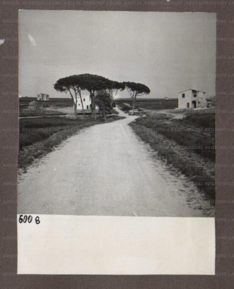 ARSIAL/ARS00174A45.jpg