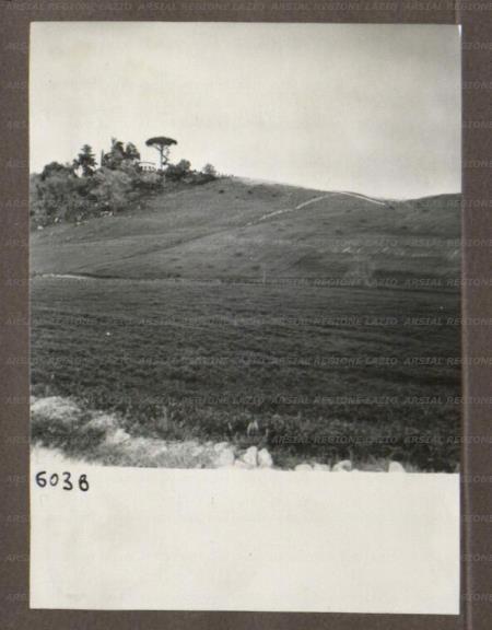 ARSIAL/ARS00174A51.jpg