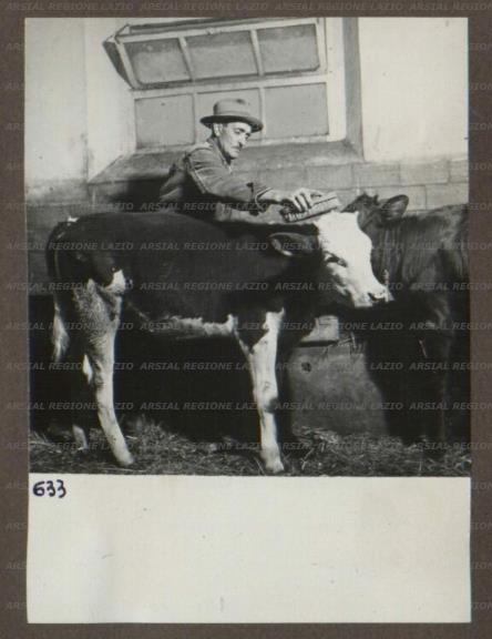 ARSIAL/ARS00174A61.jpg