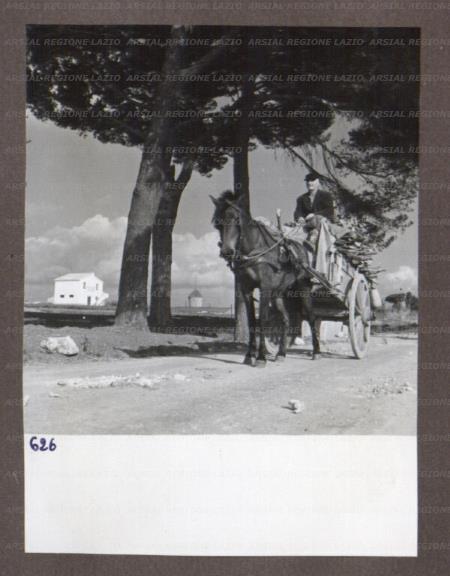 ARSIAL/ARS00174A69.jpg